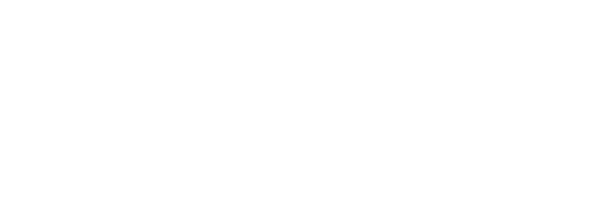 Nelore JGouvea
